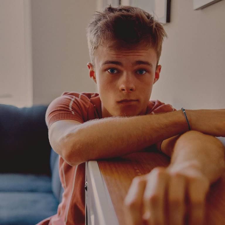 Nicholas Hamilton is a cast of Love Victor.